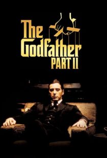 معرفی فیلم The Godfather Part II 1974